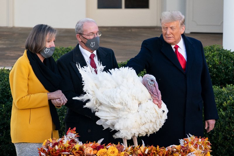 Trump Turkey