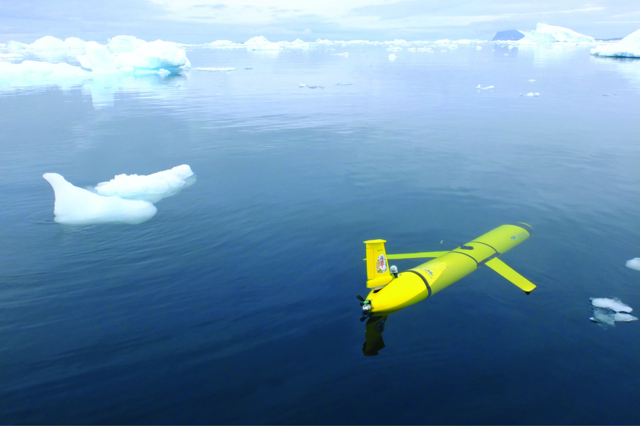 A glider in the Antarctic