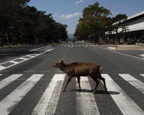 Reclaiming Our World Post-2020