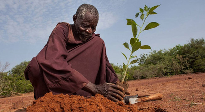 drylands Africa