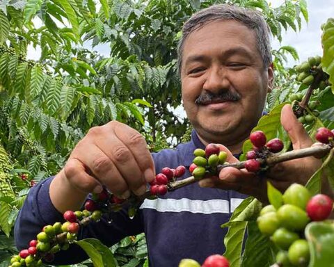 coffee varieties