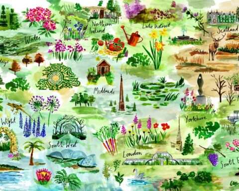 _Gardens-United-map-illustration-by-Gill-H.max-1000x1000