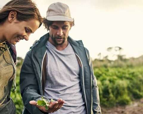 eu-sustainable-food-systems-feed