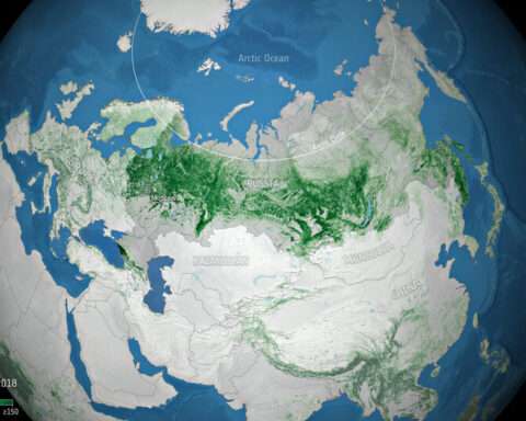 Above ground biomass in Russia