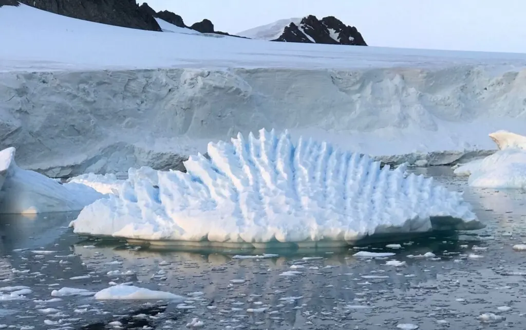 Antarctic