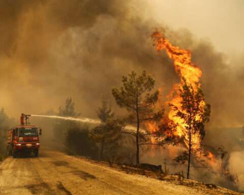 Wildfires blaze on southern Turkish coast near Manavgat
