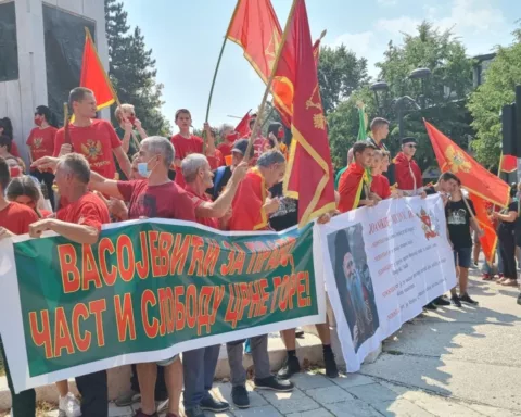 Montenegrins Protest