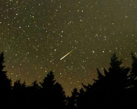 Perseids meteor shower