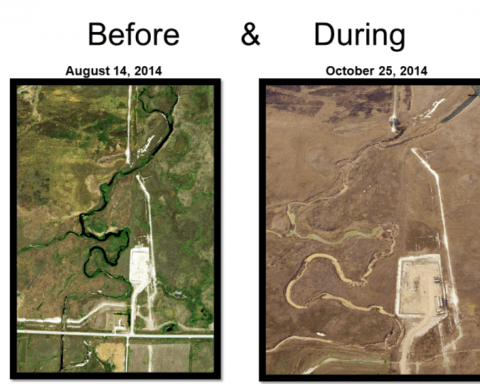 before_and_during_exhibit