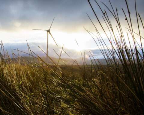 renewable electricity