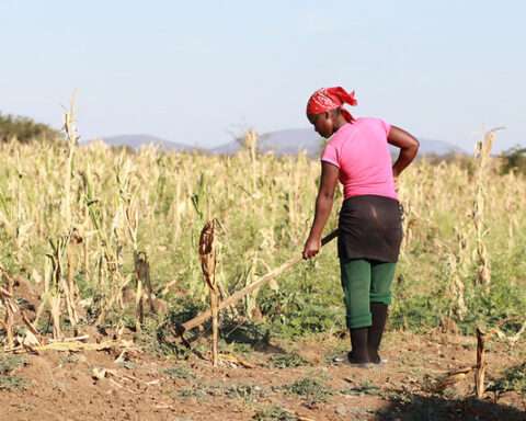 pregnant, Mrs. Mndvoti’s virus