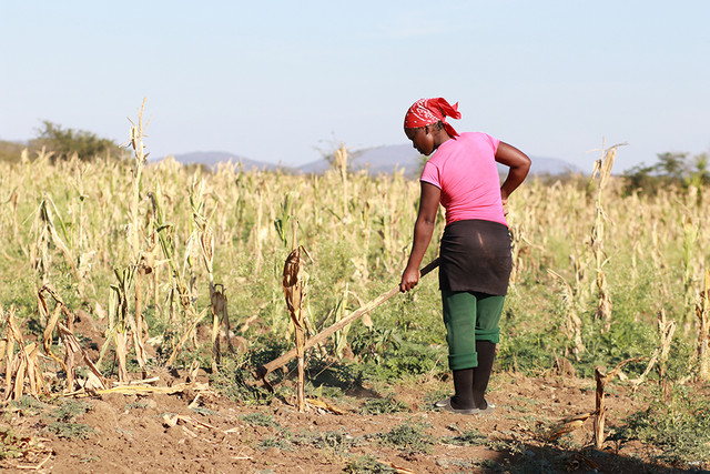 pregnant, Mrs. Mndvoti’s virus