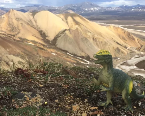 Denali National Park and Preserve, Alaska