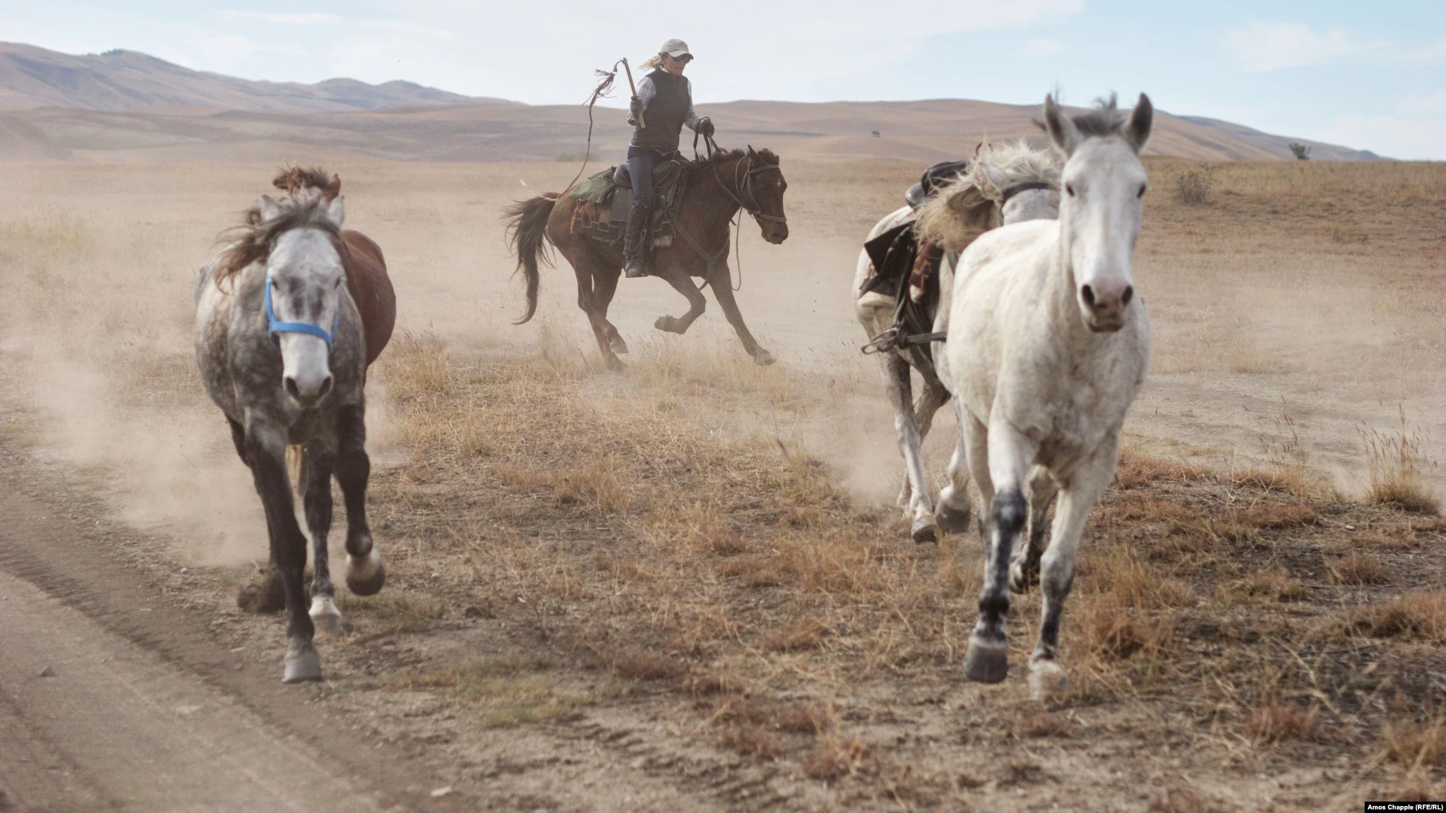Woman Keeping Georgia's Ancient Horse