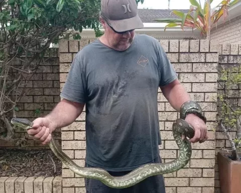 Ben Blake holding the offending python
