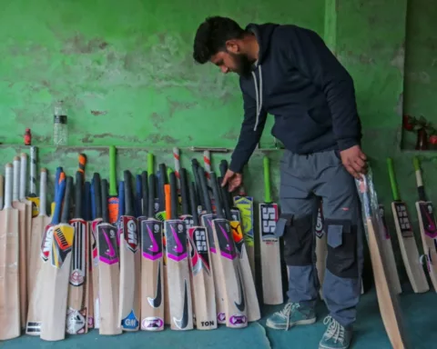 Cricket Bat Industry
