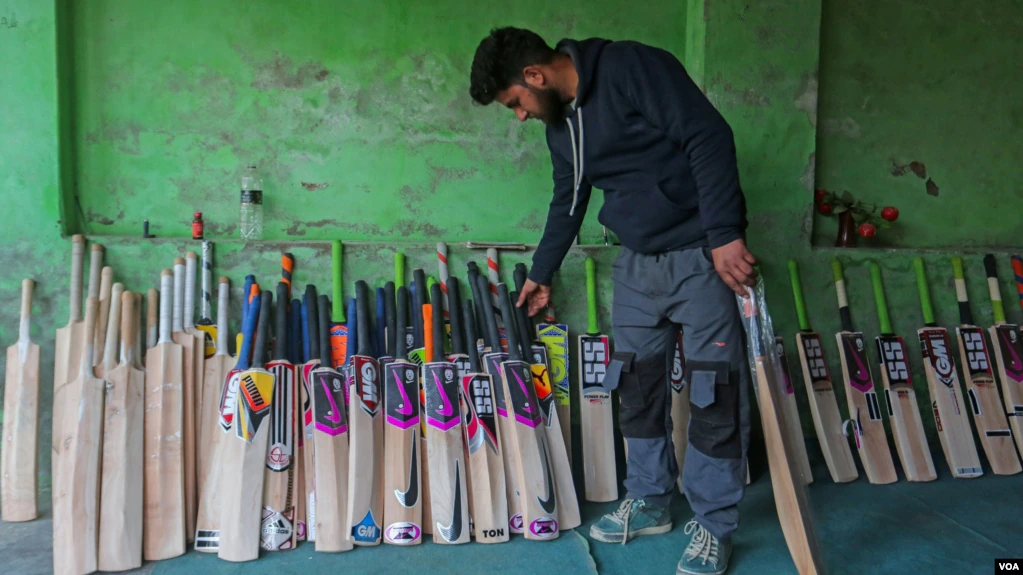 Cricket Bat Industry